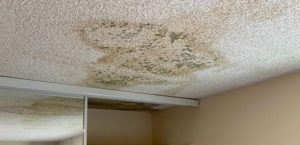 mold on ceiling from roof leak