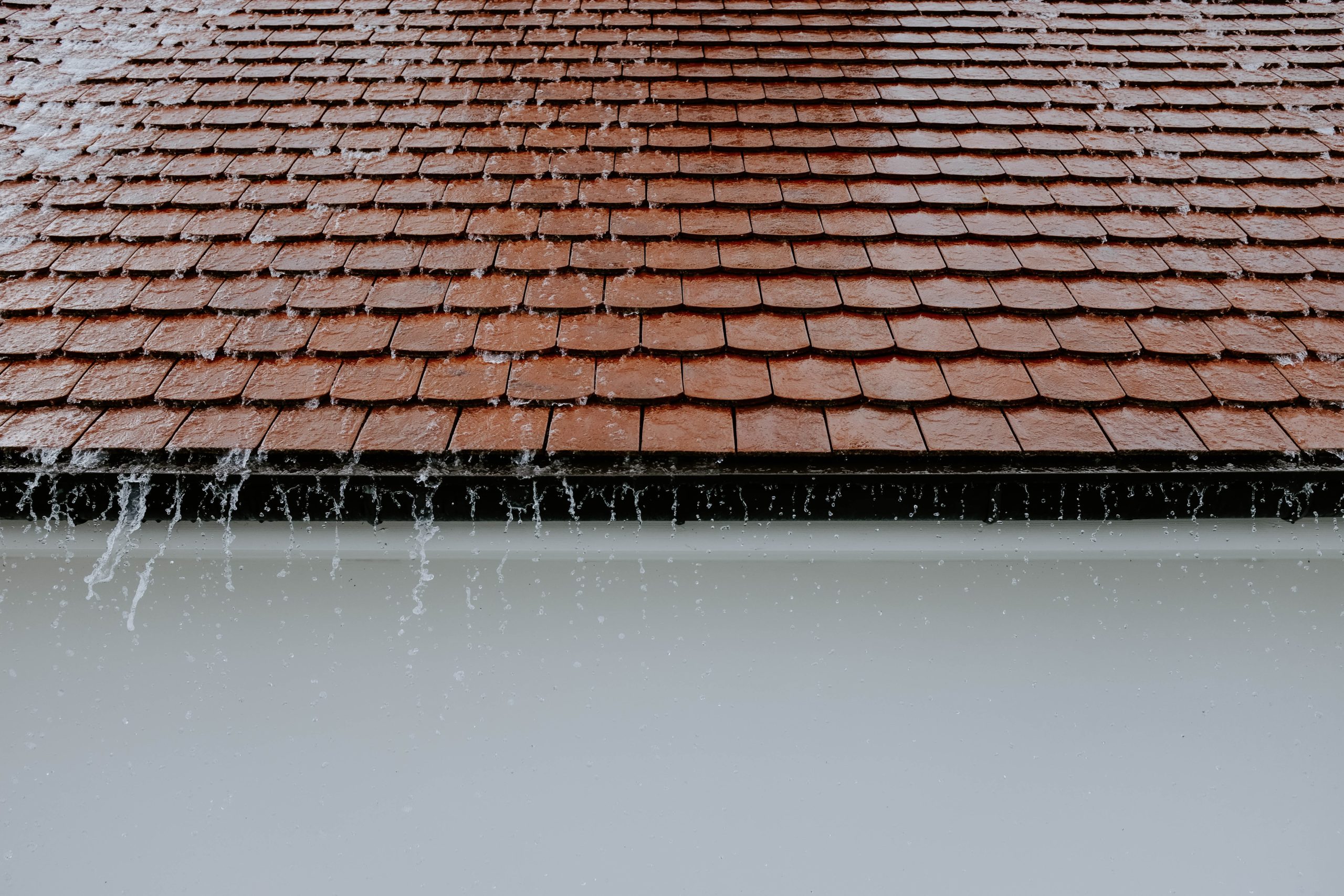 Leaking Roof? 6 Quick Action Steps To Minimize Your Damage!
