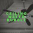 Ceiling Water Bubble