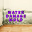water damage mold