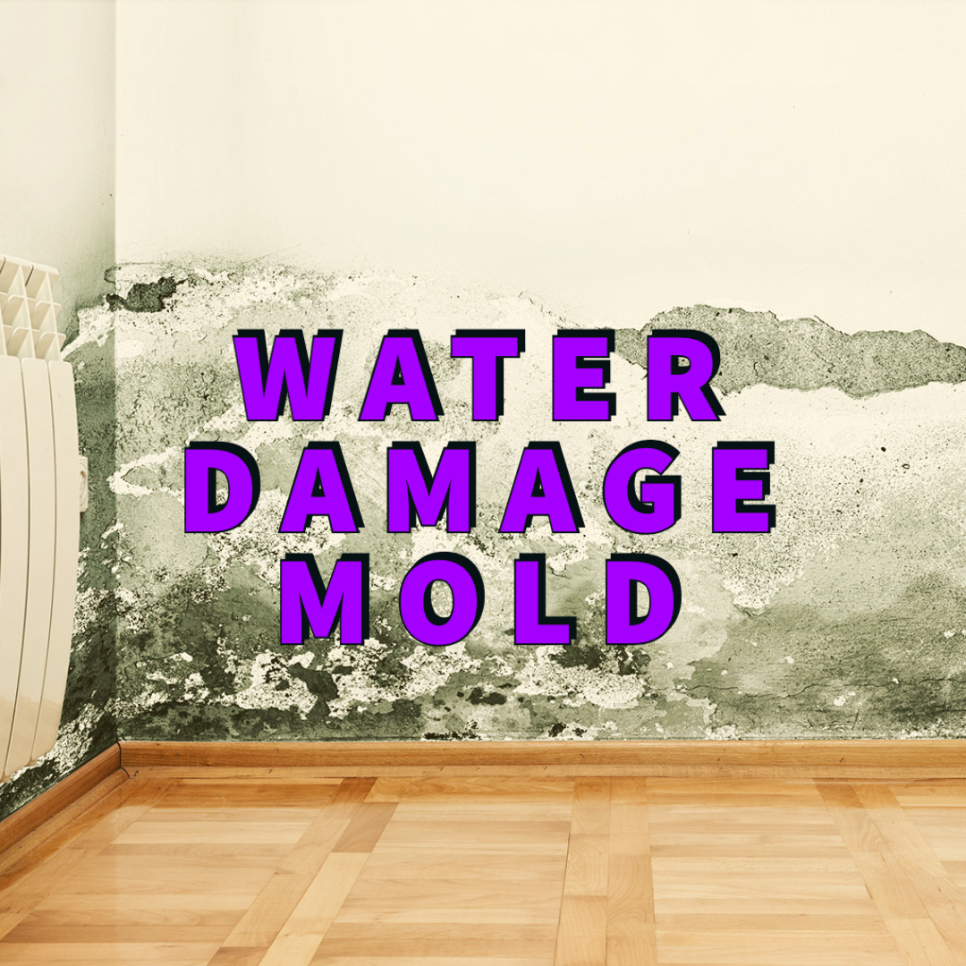 water damage mold