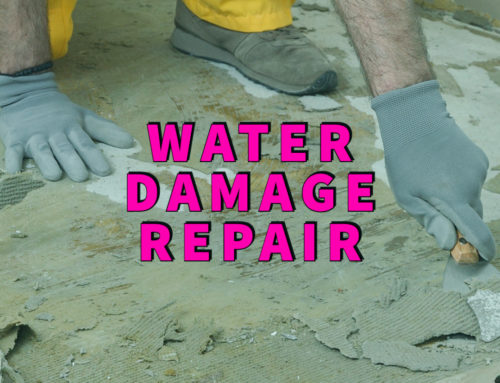 Water Damage Repair in 5 Steps: Valuable Fixes For Your Home