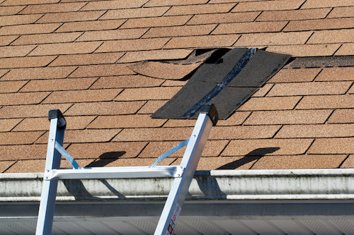 Ladder leading on gutter with damaged roof shingle