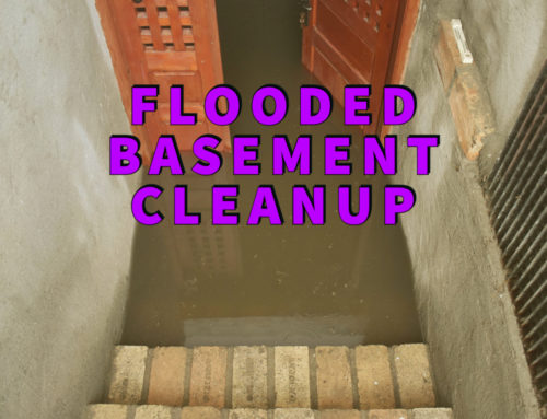 Flooded Basement Cleanup: The #1 Team’s Helpful Advice!