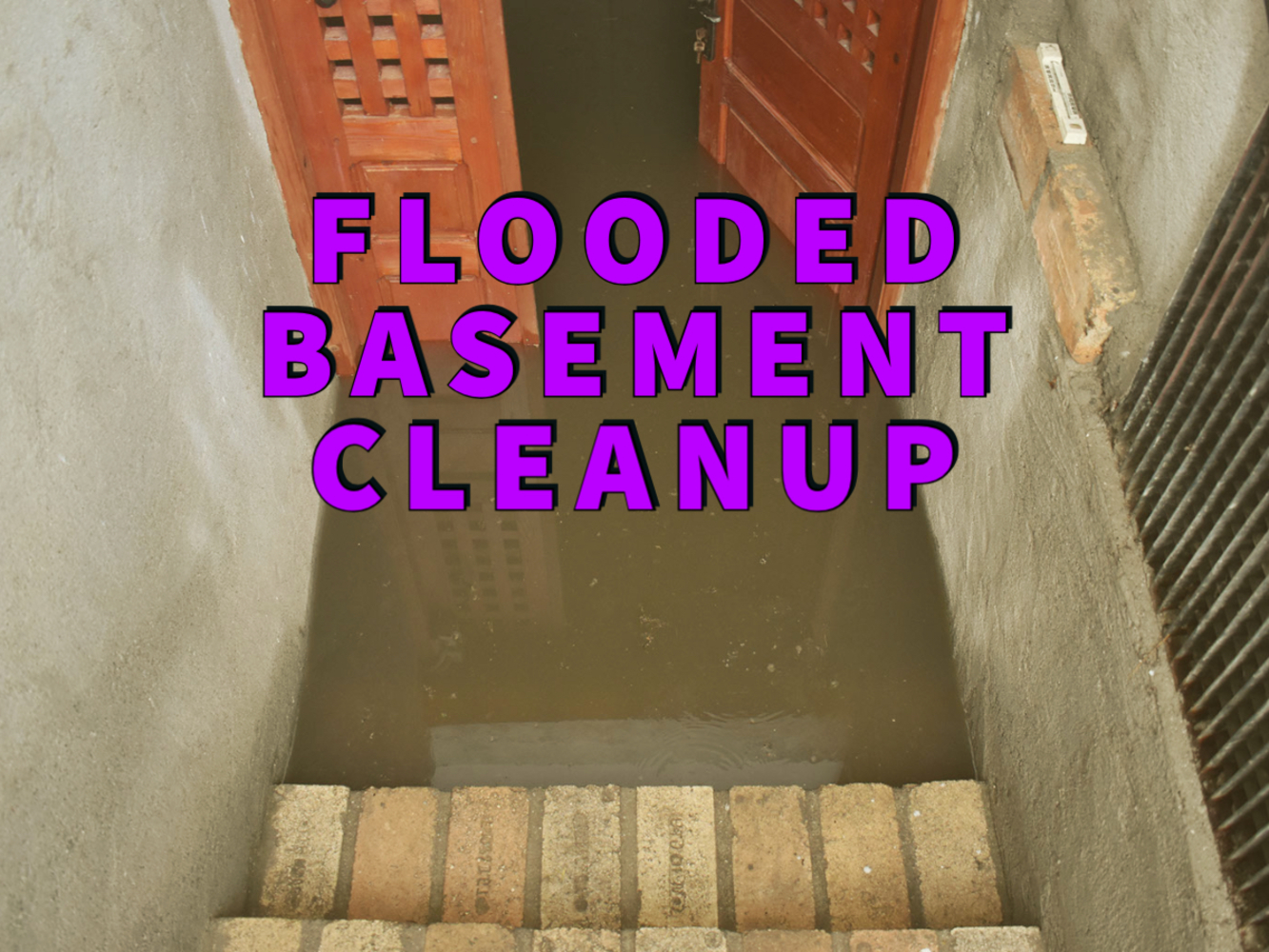 Flooded basement cleanup written in purple over flooded cellar outdoor basement steps