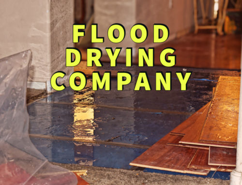 Need a Flood Drying Company? Find the Best with These 5 Tips