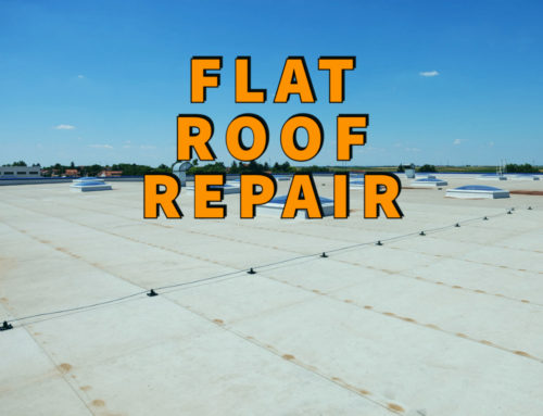 Flat Roof Repair: 5 Signs You Need Expert Help