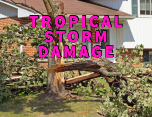 Tropical Storm Damage 101: Proven Storm Damage Recovery