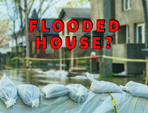 Flooded House? Superb Tips from Georgia’s #1 Team!