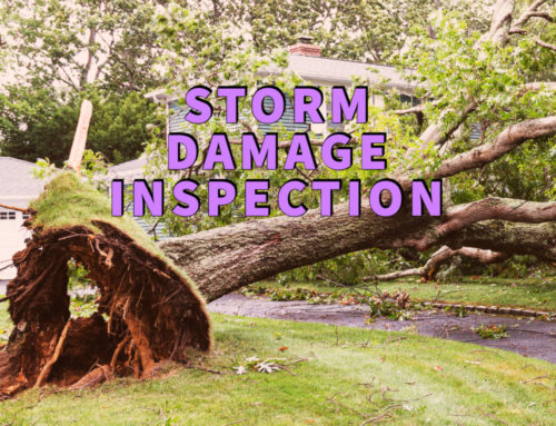 Storm Damage Inspection: Identify 5 Likely Damage Types
