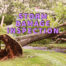 Storm damage inspection written in lavender over fallen tree next to house