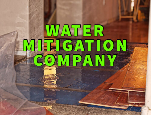Hiring a Water Mitigation Company: 7 Outstanding Benefits