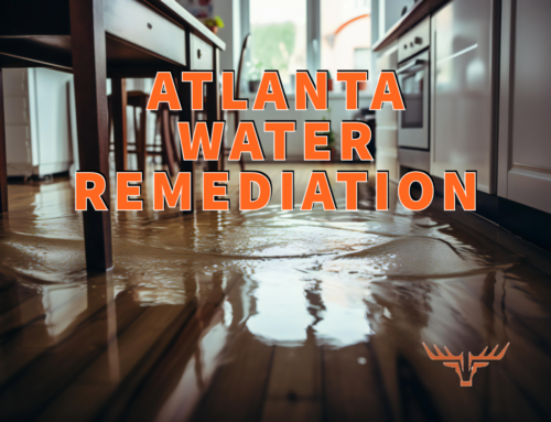 Atlanta Water Remediation: 8 Tips for Hiring the Best Pros